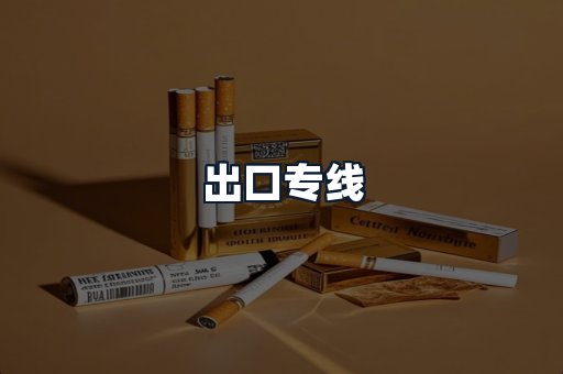 出口专线